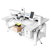 DS-A201 Single Head double Disc Fully Automatic Rhinestone Hot Fixing Machine for Industrial 