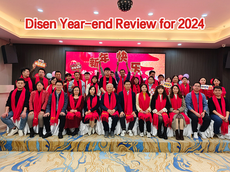 Disen Year-end Review for 2024.jpg